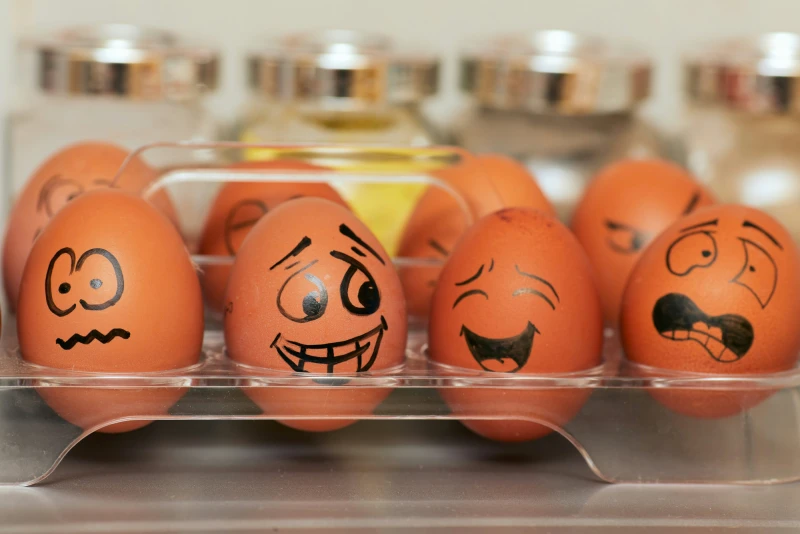 Emotional Intelligence: A Skill That Shapes Your Life