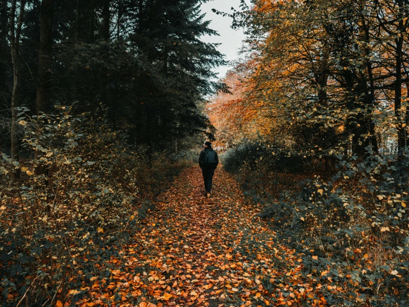Herbstblues